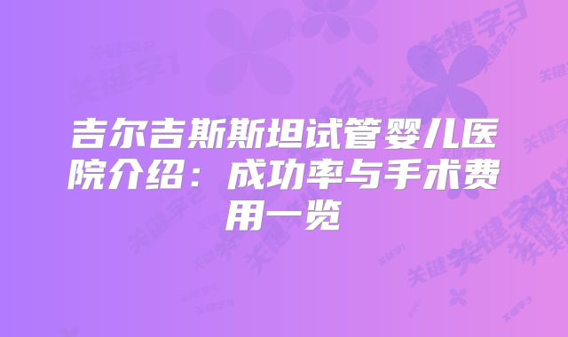 吉尔吉斯斯坦试管婴儿医院介绍:成功率与手术费用一览