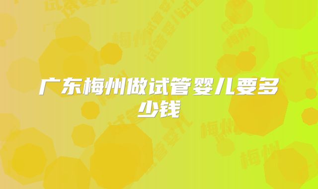 广东梅州做试管婴儿要多少钱