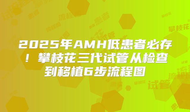 2025年AMH低患者必存！攀枝花三代试管从检查到移植6步流程图