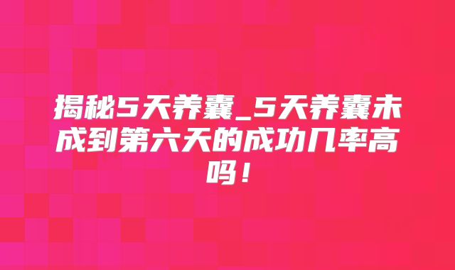 揭秘5天养囊_5天养囊未成到第六天的成功几率高吗！