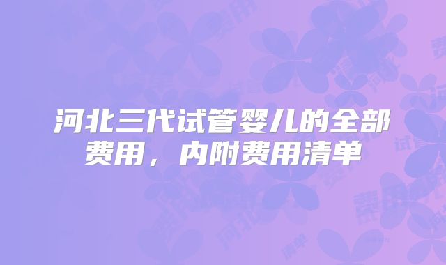河北三代试管婴儿的全部费用，内附费用清单