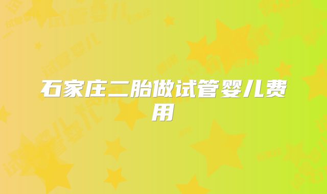 石家庄二胎做试管婴儿费用