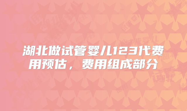 湖北做试管婴儿123代费用预估，费用组成部分