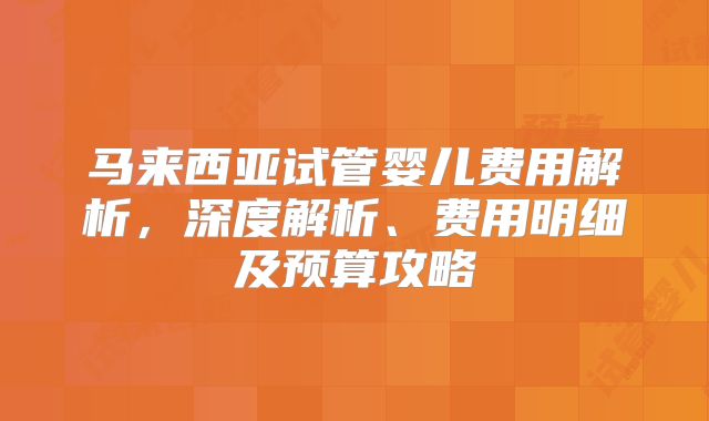 马来西亚试管婴儿费用解析,深度解析、费用明细及预算攻略