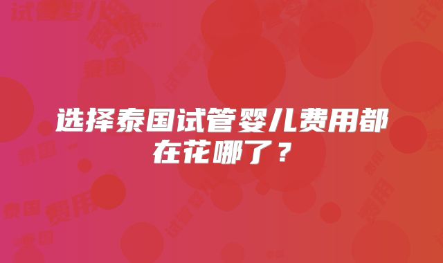 选择泰国试管婴儿费用都在花哪了？