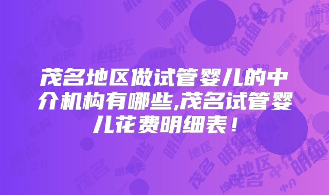 茂名地区做试管婴儿的中介机构有哪些,茂名试管婴儿花费明细表!