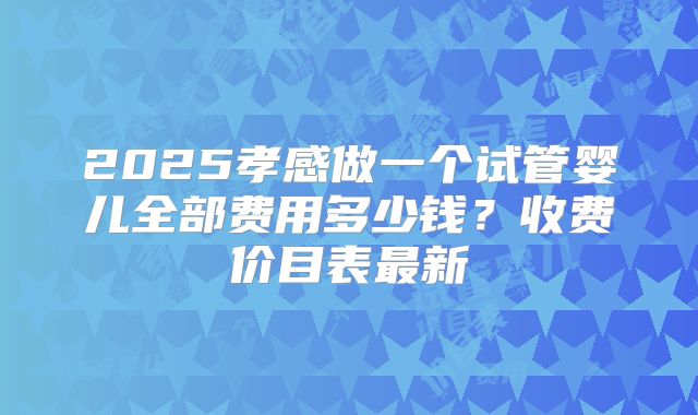 2025孝感做一个试管婴儿全部费用多少钱?收费价目表最新