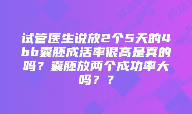试管医生说放2个5天的4bb囊胚成活率很高是真的吗?囊胚放两个成功率大吗??