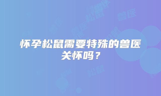 怀孕松鼠需要特殊的兽医关怀吗？