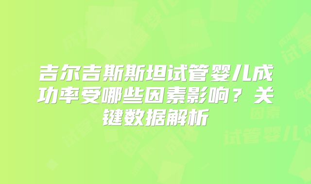 吉尔吉斯斯坦试管婴儿成功率受哪些因素影响？关键数据解析