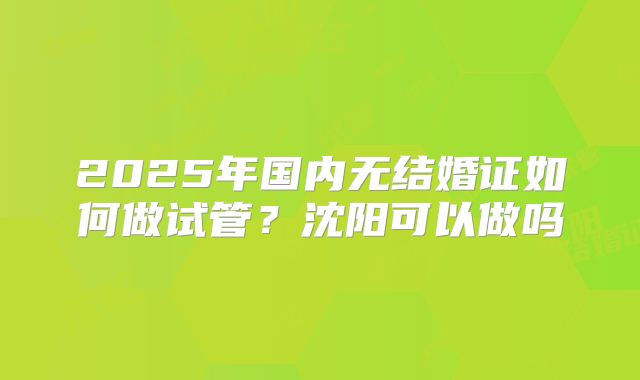 2025年国内无结婚证如何做试管?沈阳可以做吗