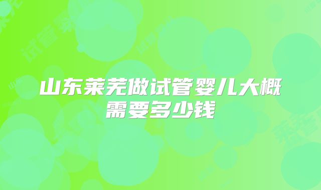山东莱芜做试管婴儿大概需要多少钱