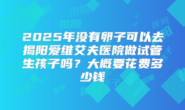 2025年没有卵子可以去揭阳爱维艾夫医院做试管生孩子吗?大概要花费多少钱