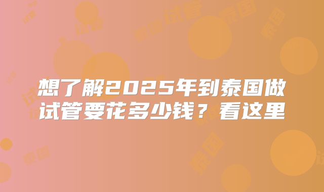 想了解2025年到泰国做试管要花多少钱？看这里