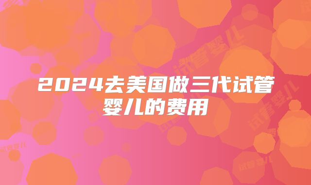 2024去美国做三代试管婴儿的费用