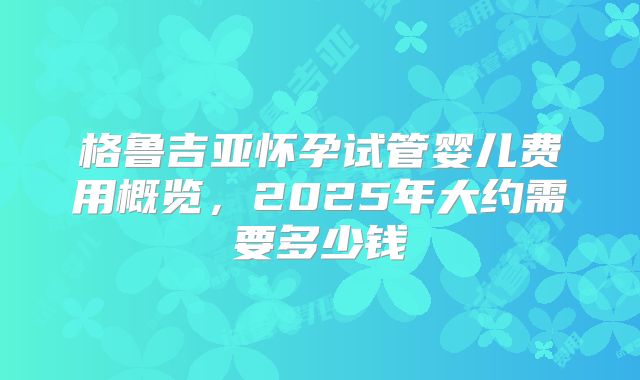 格鲁吉亚怀孕试管婴儿费用概览，2025年大约需要多少钱