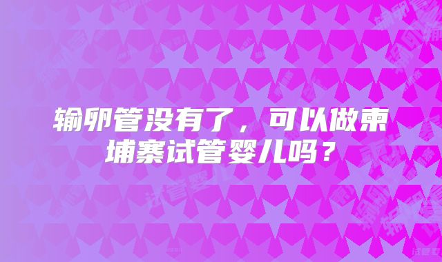 输卵管没有了,可以做柬埔寨试管婴儿吗?