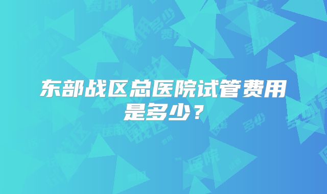 东部战区总医院试管费用是多少？