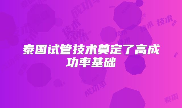 泰国试管技术奠定了高成功率基础