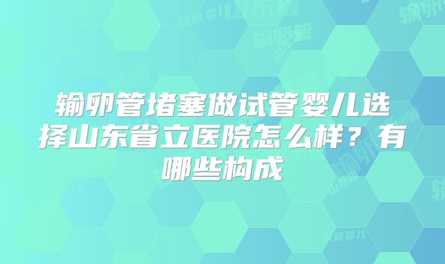 输卵管堵塞做试管婴儿选择山东省立医院怎么样?有哪些构成