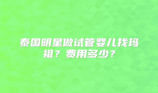 泰国明星做试管婴儿找玛祖？费用多少？