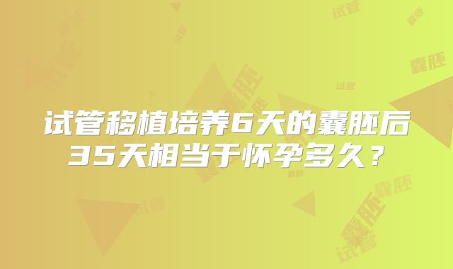 试管移植培养6天的囊胚后35天相当于怀孕多久？