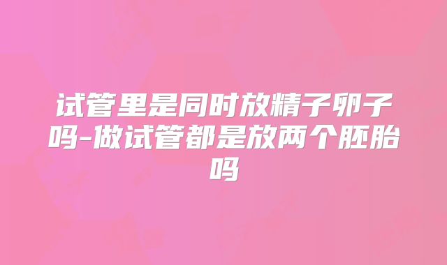 试管里是同时放精子卵子吗-做试管都是放两个胚胎吗