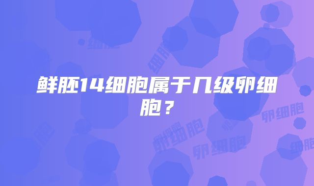 鲜胚14细胞属于几级卵细胞？