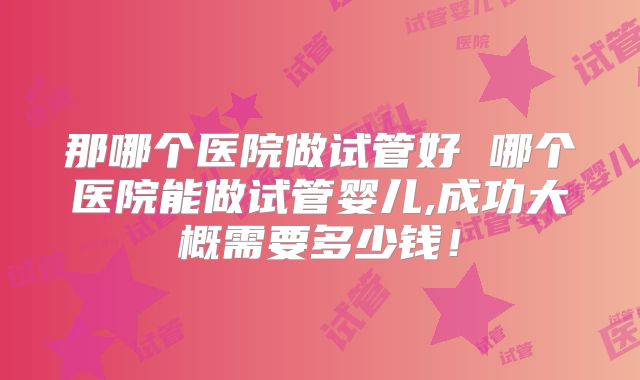 那哪个医院做试管好 哪个医院能做试管婴儿,成功大概需要多少钱！