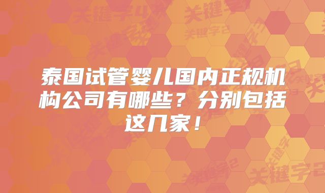 泰国试管婴儿国内正规机构公司有哪些？分别包括这几家！