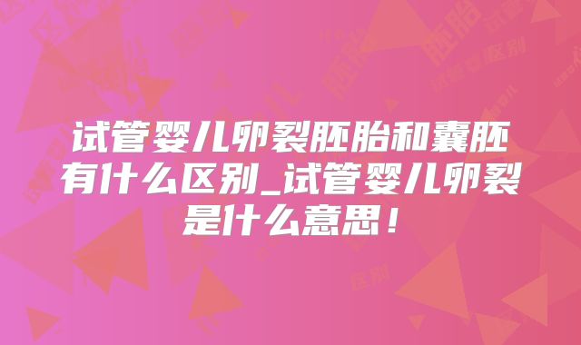 试管婴儿卵裂胚胎和囊胚有什么区别_试管婴儿卵裂是什么意思！