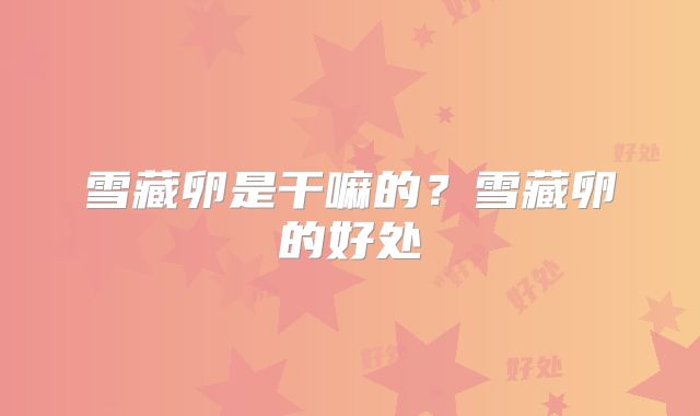 雪藏卵是干嘛的?雪藏卵的好处