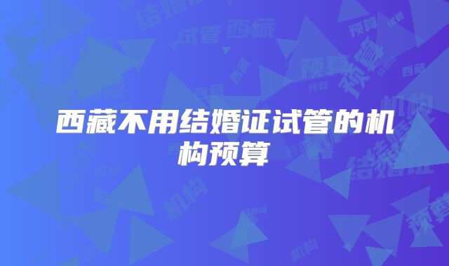 西藏不用结婚证试管的机构预算