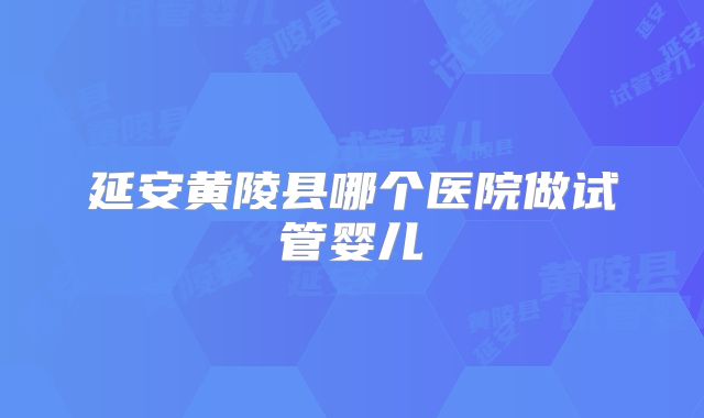 延安黄陵县哪个医院做试管婴儿