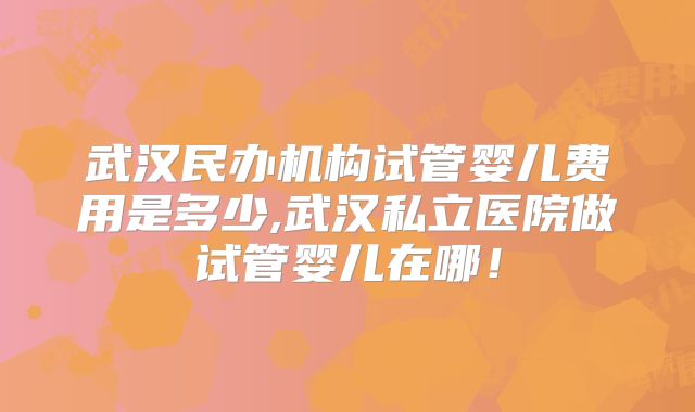 武汉民办机构试管婴儿费用是多少,武汉私立医院做试管婴儿在哪！