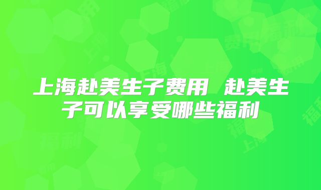上海赴美生子费用 赴美生子可以享受哪些福利