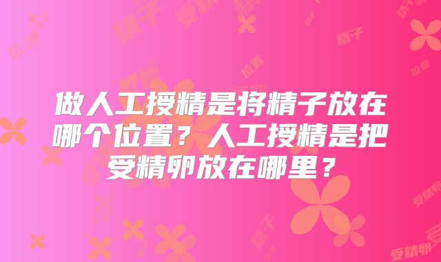 做人工授精是将精子放在哪个位置？人工授精是把受精卵放在哪里？