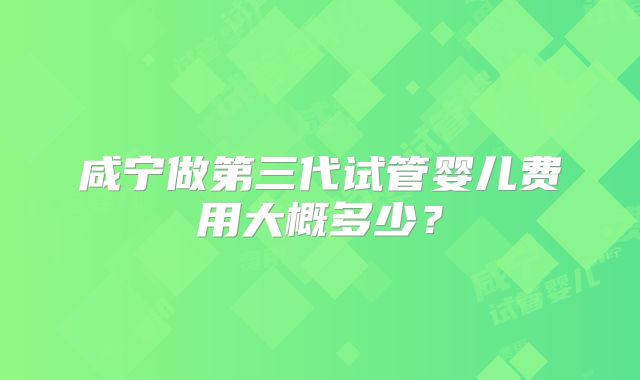 咸宁做第三代试管婴儿费用大概多少？