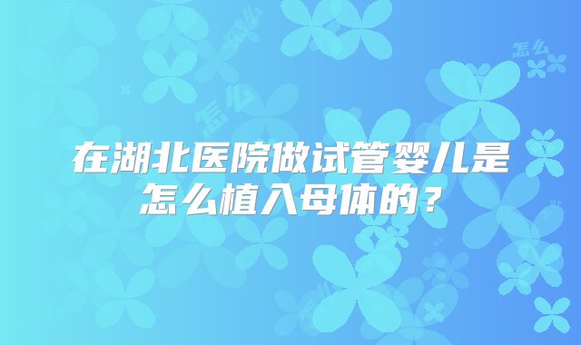 在湖北医院做试管婴儿是怎么植入母体的？