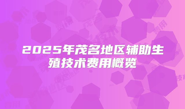 2025年茂名地区辅助生殖技术费用概览