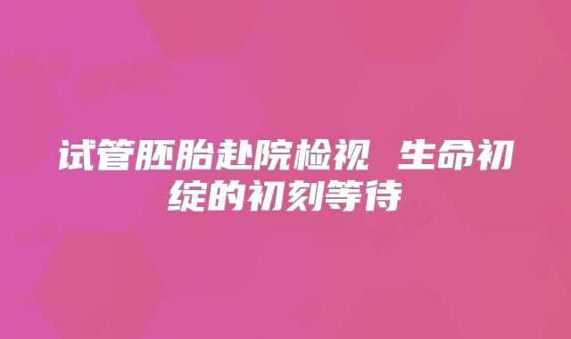试管胚胎赴院检视 生命初绽的初刻等待