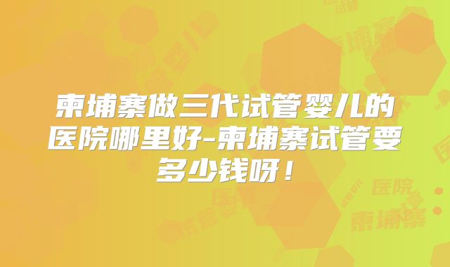 柬埔寨做三代试管婴儿的医院哪里好-柬埔寨试管要多少钱呀!