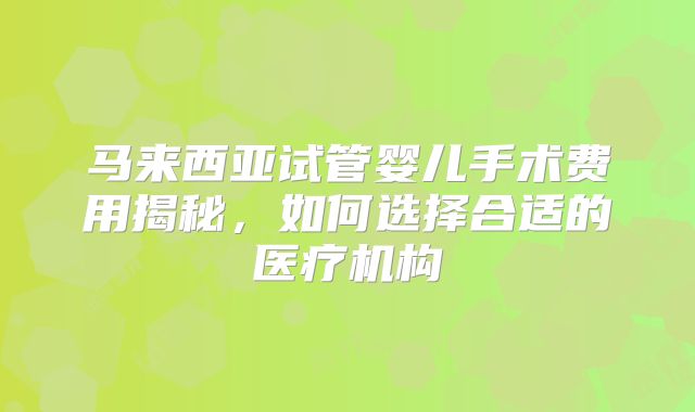 马来西亚试管婴儿手术费用揭秘，如何选择合适的医疗机构