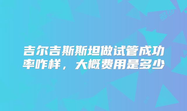 吉尔吉斯斯坦做试管成功率咋样，大概费用是多少