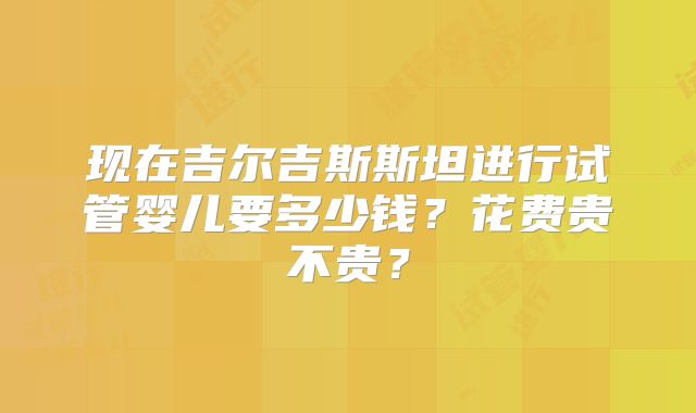 现在吉尔吉斯斯坦进行试管婴儿要多少钱？花费贵不贵？