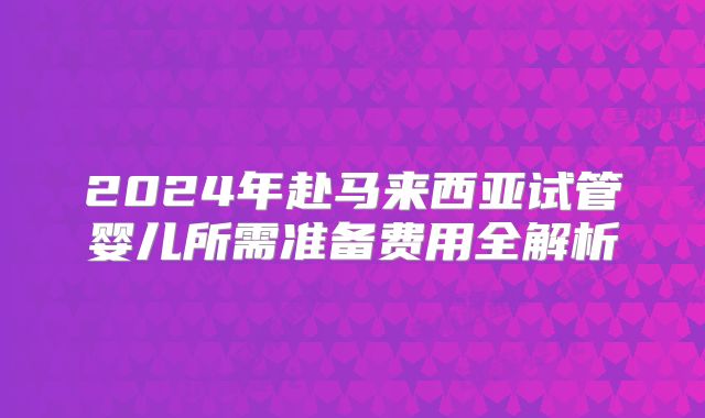 2024年赴马来西亚试管婴儿所需准备费用全解析