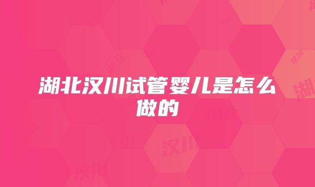 湖北汉川试管婴儿是怎么做的