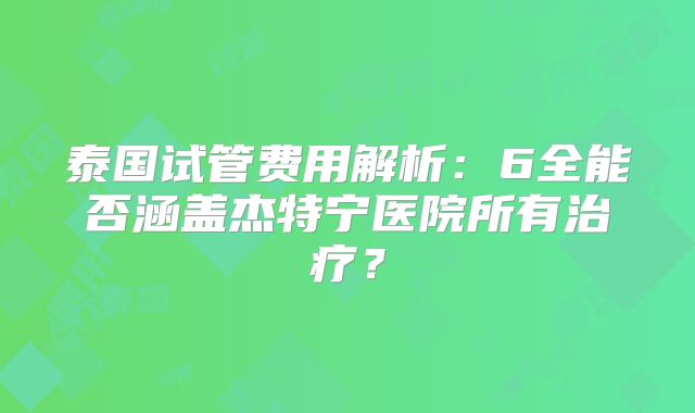 泰国试管费用解析：6全能否涵盖杰特宁医院所有治疗？