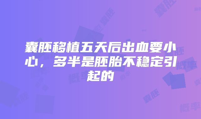 囊胚移植五天后出血要小心，多半是胚胎不稳定引起的