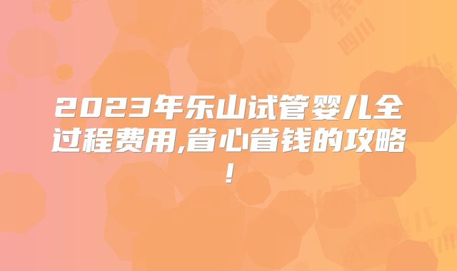 2023年乐山试管婴儿全过程费用,省心省钱的攻略!